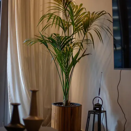 Carmen's Cozy&luxury Apartment! Apartmán *